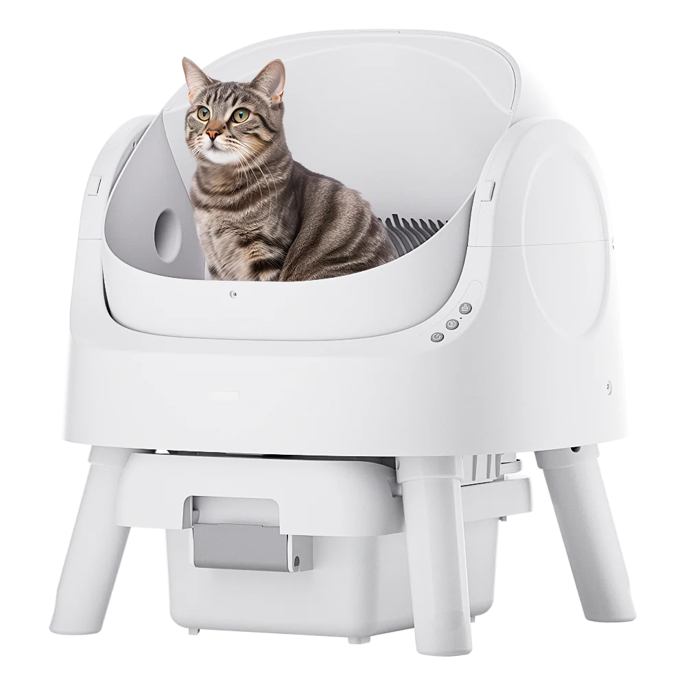 Self-Cleaning Cat Litter Box Odor-Free & Open-Top!