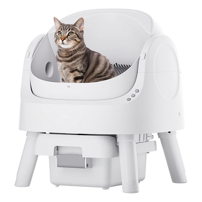 Self-Cleaning Cat Litter Box Odor-Free & Open-Top!
