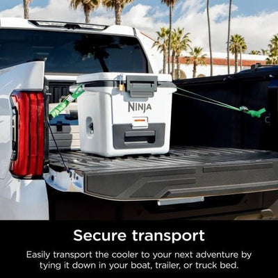 Ninja cooler in a truck bed with palm trees in the background