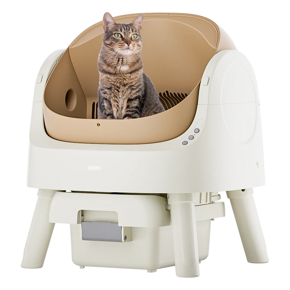 Self-Cleaning Cat Litter Box Odor-Free & Open-Top!