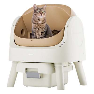 Self-Cleaning Cat Litter Box Odor-Free & Open-Top!