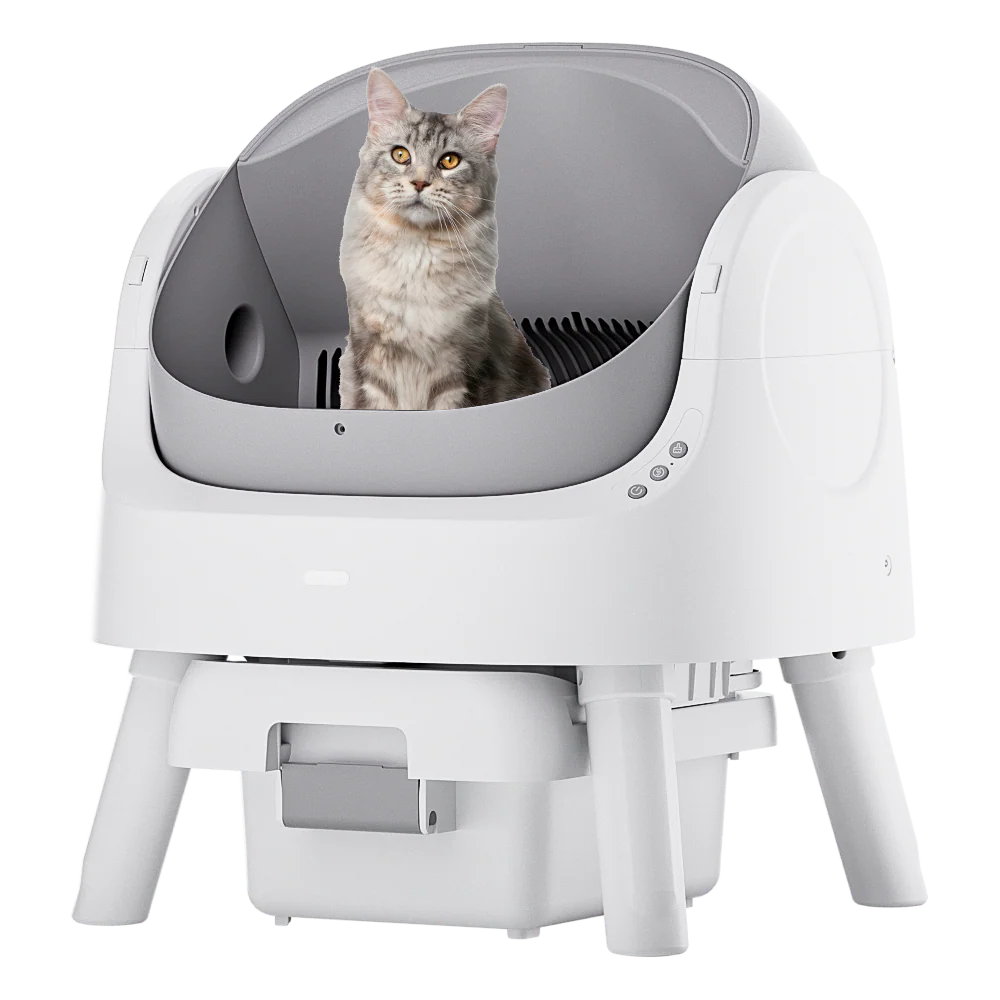 Self-Cleaning Cat Litter Box Odor-Free & Open-Top!