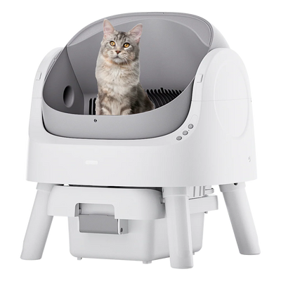 Self-Cleaning Cat Litter Box Odor-Free & Open-Top!