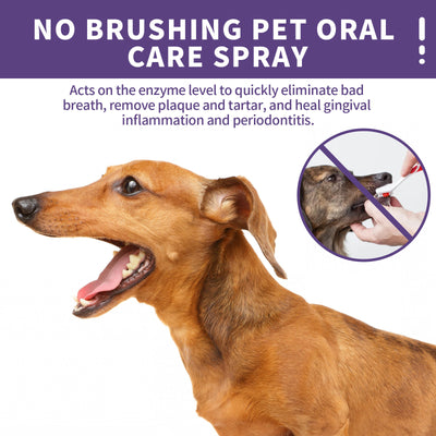 Pet Dental Cleaning Spray – Instantly Removes Tartar, Plaque & Bad Breath for Dogs & Cats | Emira Fix