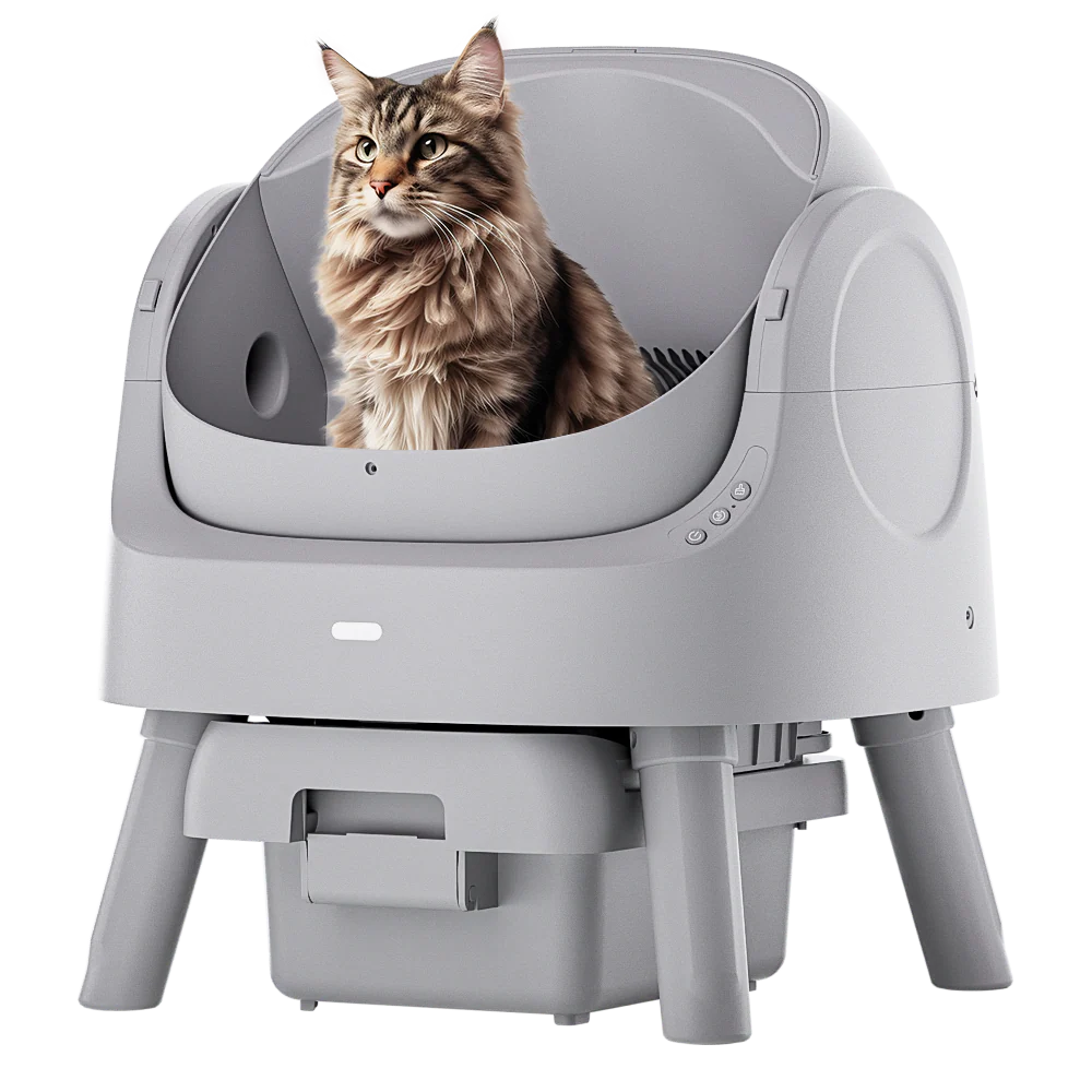 Self-Cleaning Cat Litter Box Odor-Free & Open-Top!