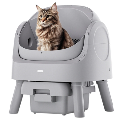 Self-Cleaning Cat Litter Box Odor-Free & Open-Top!