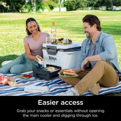 Two people having a picnic with a Ninja cooler in a park