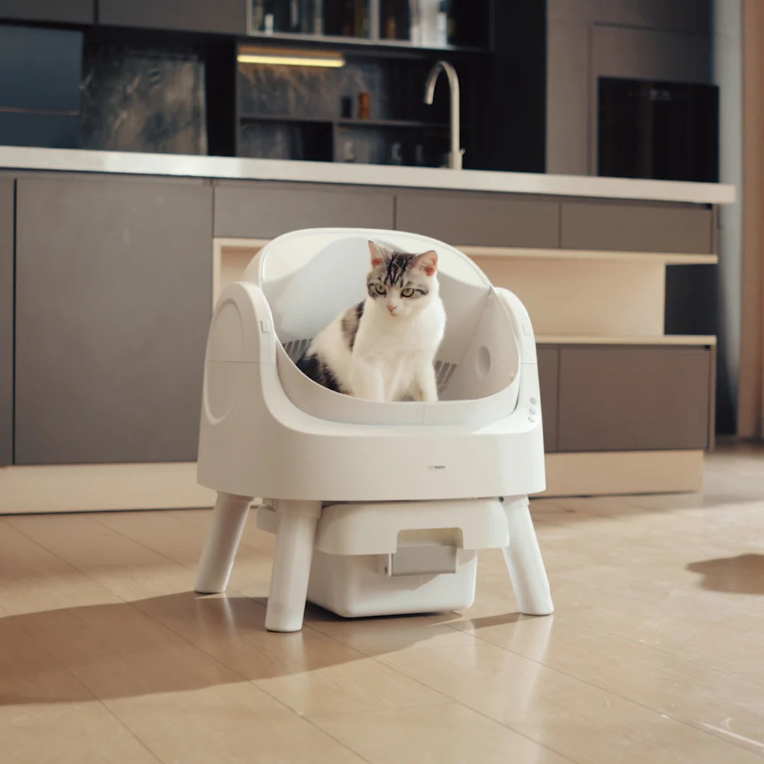 Self-Cleaning Cat Litter Box Odor-Free & Open-Top!