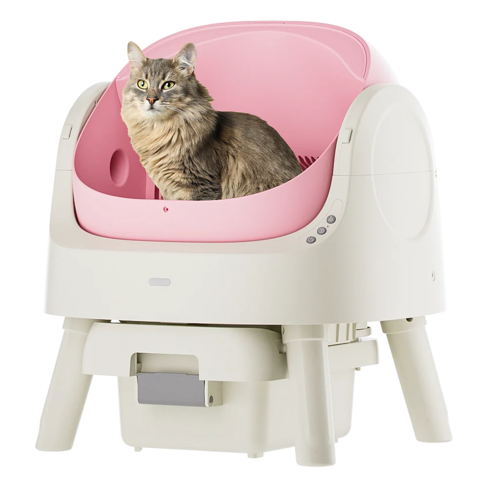 Self-Cleaning Cat Litter Box Odor-Free & Open-Top!