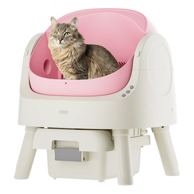 Self-Cleaning Cat Litter Box Odor-Free & Open-Top!