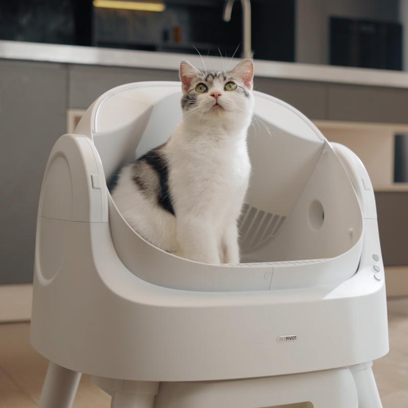 Self-Cleaning Cat Litter Box Odor-Free & Open-Top!